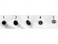 Anti-Mouse IgG (H&L)  (Alkaline Phosphatase Conjugated) Secondary Antibody